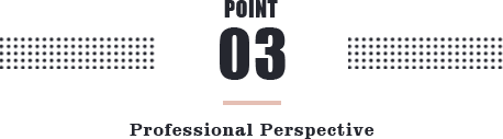 POINT 03 Professional Perspective