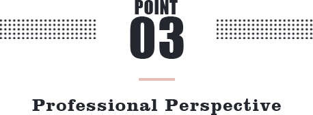 POINT 03 Professional Perspective